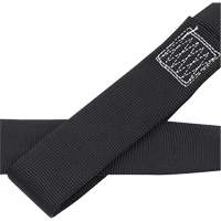 CAS4-4 4' Loop Anchor with D-Ring, Sling, Temporary Use Mukwa Safety Services