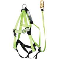 FBH-10000A6440-4 4' Class A Harness & Lanyard with 350 lbs. Capacity, Harness/Lanyard Combo Mukwa Safety Services