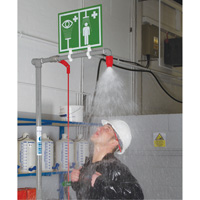 Combination Shower with Closed ABS Bowl & Top Inlet, Pedestal Mukwa Safety Services