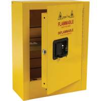 Mini Flammable Safety Cabinet, 2 Gal., 1 Door, 17" W x 22" H x 8" D Mukwa Safety Services