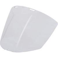 Clear Visor Mukwa Safety Services