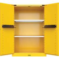 Armoire de s&eacute;curit&eacute; pour produits inflammables Utili-Guard+, 45 gal., 2 Porte(s), 43" La x 65" h x 22" p Mukwa Safety Services