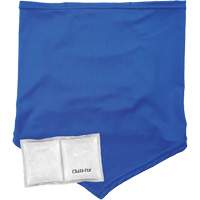 Chill-Its 6482 Cooling Neck Gaiter Bandana with Rechargeable Phase Change Packs, Small/Medium, Blue Mukwa Safety Services