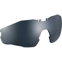 Lentille de rechange pour lunettes de s&eacute;curit&eacute; MY6, Antibu&eacute;e/Anti-&eacute;gratignures, Gris/Fum&eacute;e, MY6 Mukwa Safety Services
