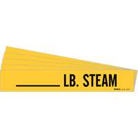 Marqueurs de tuyau LB. Steam, Autocollant, 2-1/4" h x 2-3/4" la, Noir sur jaune Mukwa Safety Services