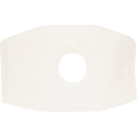 North&reg; Replacement Filter, Particulate Filter, N99 Filter Mukwa Safety Services