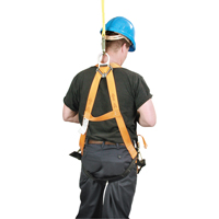 Miller&reg; Titan Contractor's Harnesses, CSA Certified, Class AP, 400 lbs. Cap. Mukwa Safety Services