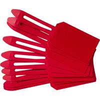 &eacute;tiquettes de cadenassage vierges en plastique, Plastique, 3-1/4" la x 5-4/5" h, Vierge Mukwa Safety Services