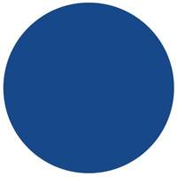 Round Write-On Labels, Circle, 1.5" L x 1.5" W, Blue Mukwa Safety Services
