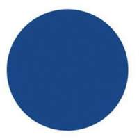 Round Write-On Labels, Circle, 3" L x 3" W, Blue Mukwa Safety Services