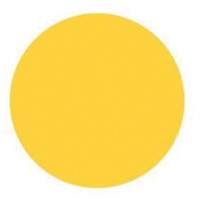 Round Write-On Labels, Circle, 3" L x 3" W, Yellow Mukwa Safety Services