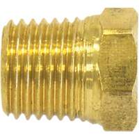 Bouchon de tuyau (t&ecirc;te hexagonale), 1/8" dia., Laiton Mukwa Safety Services