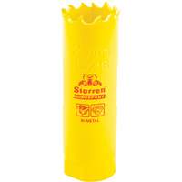 Bi-Metal Holesaw - 13/16", 13/16", 2" Depth of Cut, Bi-Metal Mukwa Safety Services