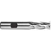 C615 End Mill, 1/4" Dia., 4 Flutes, High Speed Steel Mukwa Safety Services