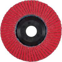 Flap Disc, 4-1/2" x 5/8"-11, Type 27, 40 Grit, Ceramic Mukwa Safety Services