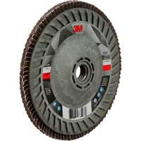 769F Quick Change Flap Disc, 5" x 5/8"-11, Type 29, 120+ Grit, Ceramic Mukwa Safety Services