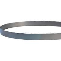 Welded Bandsaw Blade, Bi-Metal, 14' L x 1" W x 4 - 6 TPI Mukwa Safety Services