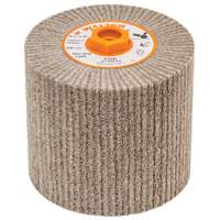 Blendex Surface Conditioning Drum, 4-1/2" Dia. x 4" W, 5/8"-11 Arbor, Fine Grit Mukwa Safety Services