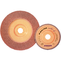 Enduro-Flex Stainless Flap Disc, 4-1/2" x 7/8", Type 27, 40 Grit, Zirconia Alumina Mukwa Safety Services