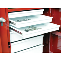 Rolling Work Bench, 49-7/8" W x 40-5/8" H x 26-7/8" D, 24.6 Cubic Feet Capacity Mukwa Safety Services
