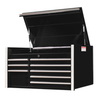RX Series Tool Chest, 41" W, 8 Drawers, Black Mukwa Safety Services
