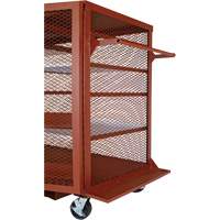 Mobile Mesh Cabinet, Steel, 37 Cubic Feet, Red Mukwa Safety Services