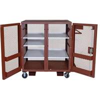 Mobile Mesh Cabinet, Steel, 37 Cubic Feet, Red Mukwa Safety Services