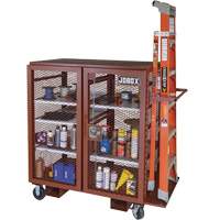 Mobile Mesh Cabinet, Steel, 37 Cubic Feet, Red Mukwa Safety Services
