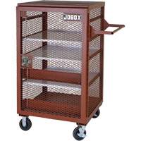 Mobile Mesh Cabinet, Steel, 22 Cubic Feet, Red Mukwa Safety Services