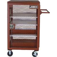 Mobile Mesh Cabinet, Steel, 22 Cubic Feet, Red Mukwa Safety Services