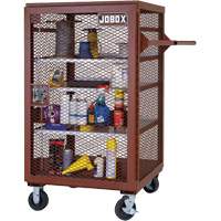 Mobile Mesh Cabinet, Steel, 22 Cubic Feet, Red Mukwa Safety Services