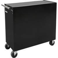 Industrial Tool Cart, 11 Drawers, 41" W x 18-3/4" D x 39-1/3" H, Black Mukwa Safety Services