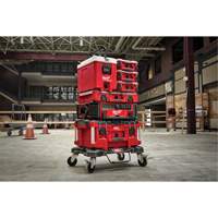 Glaci&egrave;re compacte Packout, 16 pintes Capacit&eacute; Mukwa Safety Services