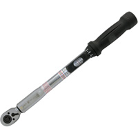Cl&eacute; dynamom&eacute;trique &agrave; t&ecirc;te fine pour usage intensif, &agrave; cliquer, Entraînement 3/8" carr&eacute;, 10 - 80 lb-pi Mukwa Safety Services