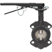 Butterfly Valves - Series BFV, 2" Pipe, 225 PSI Mukwa Safety Services