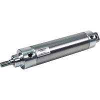 Non Repairable Round Line Pneumatic Cylinders Mukwa Safety Services