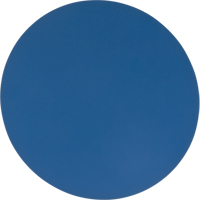 Tampons pour ponceuse &agrave; mouvement orbital de 6" &agrave; double action Mukwa Safety Services