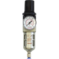Modular Filter/Regulator, 1/4" NPT, 150 PSI, 0.5 fl.oz. Capacity Mukwa Safety Services