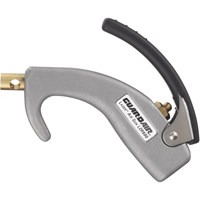 Lazer&reg; Series Palm Air Guns Mukwa Safety Services