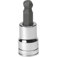 SAE Bit Socket, Hex Ball, 3/8" x 1.968" L, 3/8" Drive Mukwa Safety Services