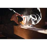Outil polyvalent oscillant  &agrave; 3 vitesses sans balais Max XR (outil seulement), 20 V, Lithium-ion Mukwa Safety Services