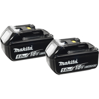 Batteries, Lithium-Ion, 18 V, 5.0 A Mukwa Safety Services
