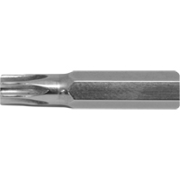 Stubby Multi-Bit Screwdriver -Replacement Bit, Torx, 15, 1/4" Drive Mukwa Safety Services