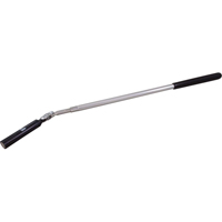 Outil de ramassage t&eacute;lescopique, Longueur de 26-1/2", Diam&egrave;tre de 5/8", Capacit&eacute; de 6,5 lb Mukwa Safety Services