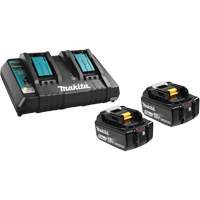 Li-Ion Battery & Dual-Port Charger Kit, 18 V, Lithium-Ion Mukwa Safety Services