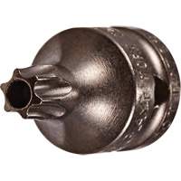 Socket Bit, Torx&reg; Tamper, 8 x 3/4" L, 1/4" Drive Mukwa Safety Services