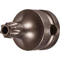 Socket Bit, Torx&reg; Tamper, 25 x 1" L, 3/8" Drive Mukwa Safety Services