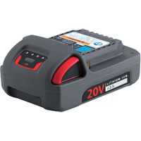 IQV20 Series Battery, Lithium-Ion, 20 V, 2.5 Ah Mukwa Safety Services
