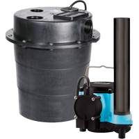 Pompe imerg&eacute;e s&eacute;rie WRS, 45 gal./min, 115 V, 9 A, 1/3 CV Mukwa Safety Services