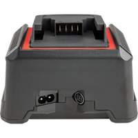 2.5 Ah & 5.0 Ah Battery Charger, 120 V, Lithium-Ion Mukwa Safety Services